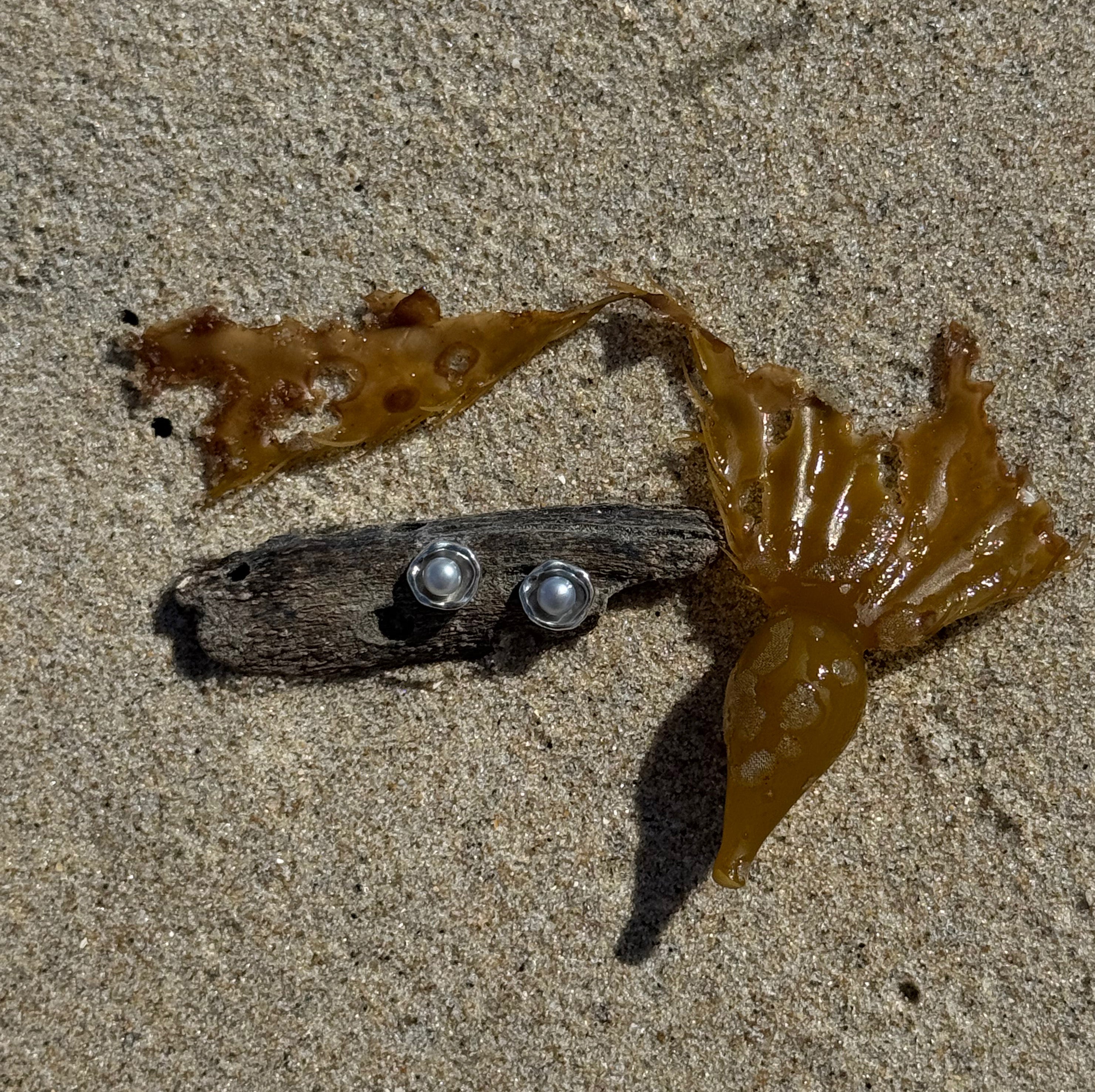 Sanibel Watercast Earrings w/ Pearl